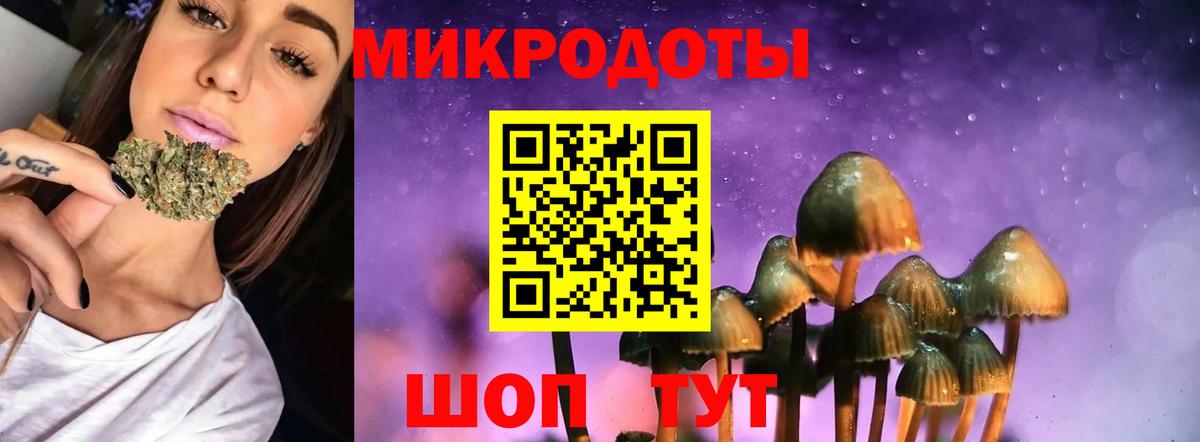 Баксан  Псилоцибиновые грибы Magic Shrooms  Вход с VPN  Псилоцибиновые грибы MAGIC MUSHROOMS 