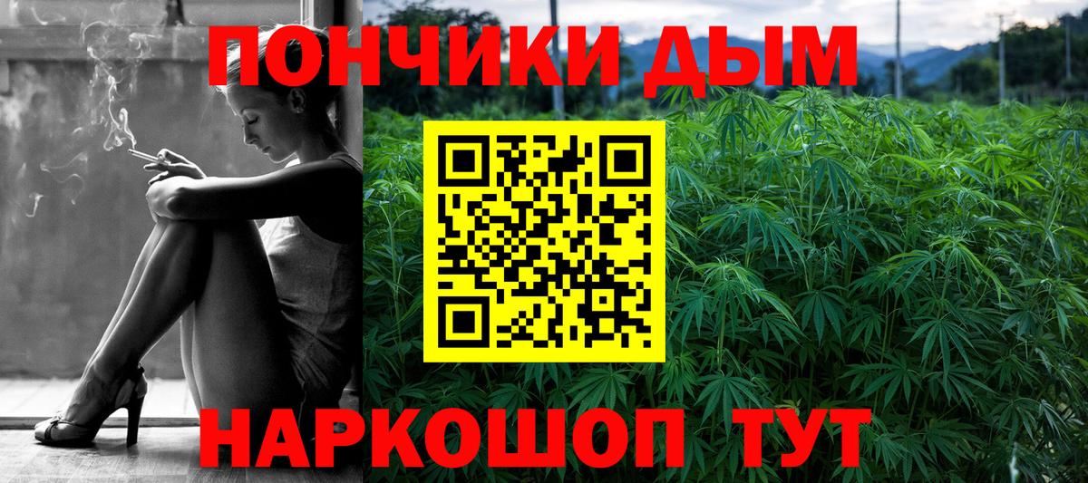 Конопля гибрид Баксан